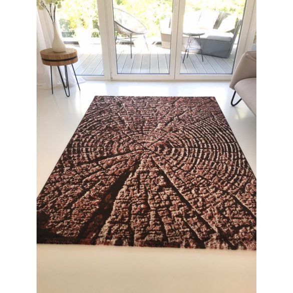 200x290cm MIRAY MODERN SZÕNYEG 06356A_TERRA_BROWN (Több méretben kapható!)